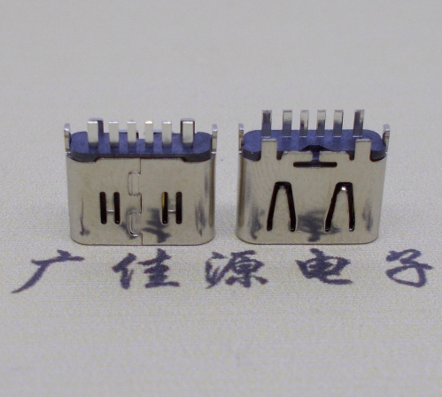 福建Type-C6P母座立插H=6.25连接器